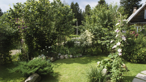 Путин подписал закон, уточняющий виды разрешенного использования земель