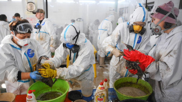 В ГД внесли проект о поощрении ликвидирующих ЧС в Керченском проливе волонтеров