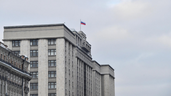 В ГД РФ внесли проект о профилактике среди несовершеннолетних правонарушителей