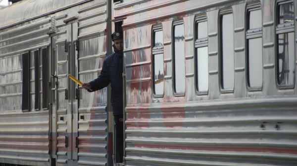 ФПК добавила летающих поссумов в список животных для перевозки в поездах