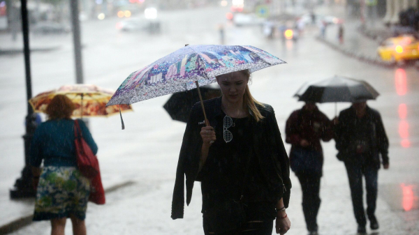 Тишковец: в Москве за 12 часов выпало 33% месячной нормы осадков