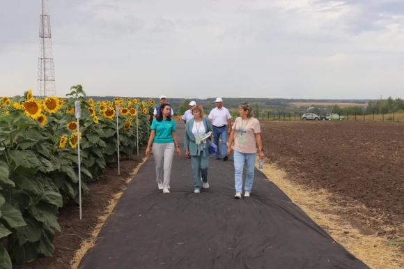 Агрополигон с российскими сортами &ndash; в центре внимания на &laquo;Дне сибирского поля&raquo;