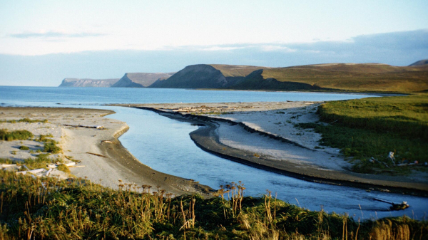 Селу Седанка впервые в РФ присвоят звание "Села воинской славы" за заслуги в СВО