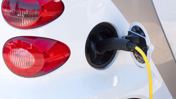 Зеленые призвали сделать зарядку электромобилей бесплатной первые три года
