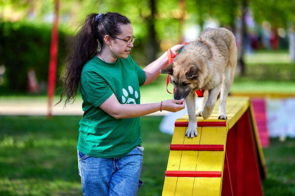 Фестиваль "Моспитомец" пройдет на Тверском бульваре с 15 по 17 августа