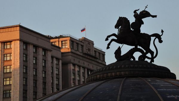 СРЗП призвали принять единые федеральные льготы для всех многодетных семей