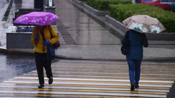 Тишковец: максимум ливней в Москве пройден, но дожди продолжатся