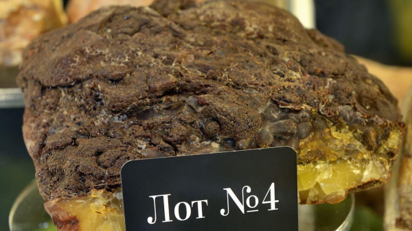 Крупнейший самородок "Сувенир Балтики" продали за 1 миллион 180 тысяч рублей