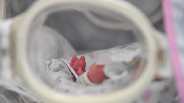 Прокуратура ЛНР впервые помогла признать права ребенка погибшего бойца СВО