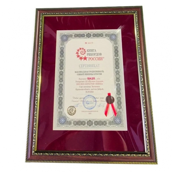 Озимая пшеница &laquo;Щёлково Агрохим&raquo; побила мировой рекорд